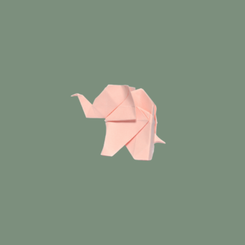 Der rosa Elefant im Raum – Gemeinwohlorientierte Bodenwende?